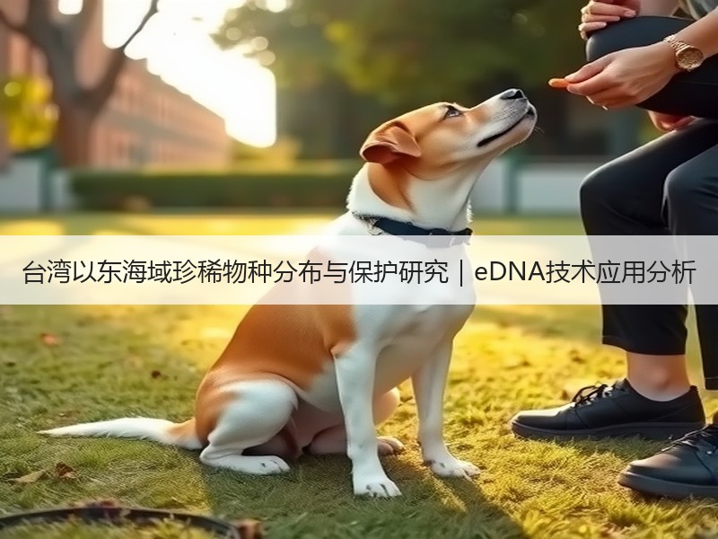 台湾以东海域珍稀物种分布与保护研究｜eDNA技术应用分析